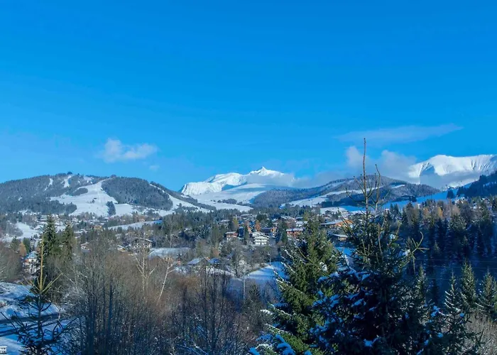 Close To The Village - 4 Bedrooms, Mont-blanc View Σαλέ